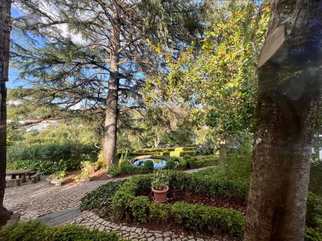 Casa Fundeira - Quinta Dos Esconhais Castanheira de Pera Esterno foto